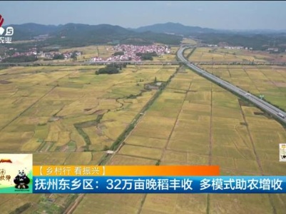 【乡村行 看振兴】抚州东乡区：32万亩晚稻丰收 多模式助农增收