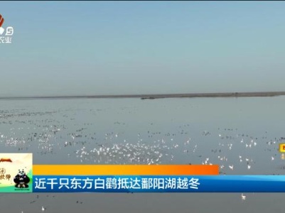 新闻晚高峰20231121