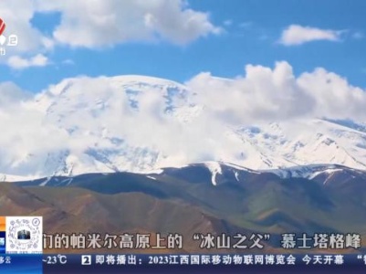 都市现场20231124