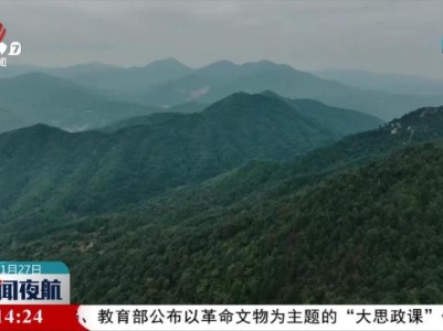 新闻夜航20231127