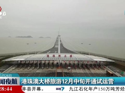 港珠澳大桥旅游12月中旬开通试运营