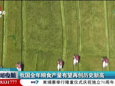 我国全年粮食产量有望再创历史新高