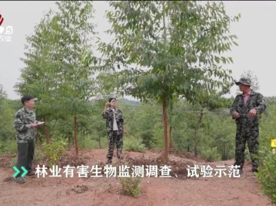 “最美”林业科技推广员——罗惠文