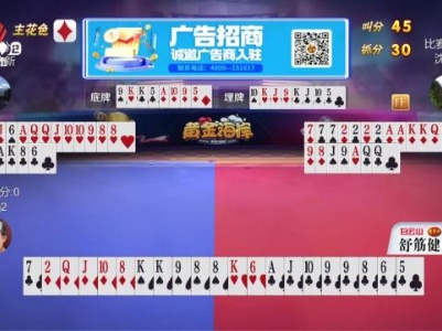 谁是赢家20231123