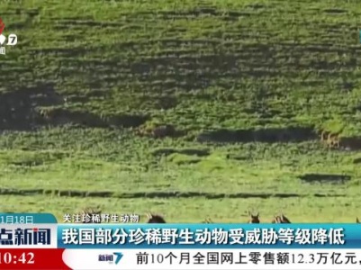 【关注珍稀野生动物】我国部分珍稀野生动物受威胁等级降低