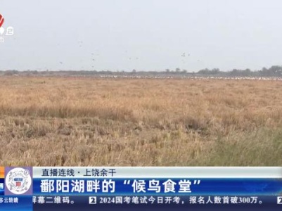 都市现场·午间版20231126