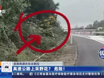 泉南高速吉安永新段：高速公路上采野花？危险！