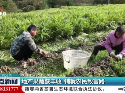 地产果蔬获丰收 铺就农民致富路