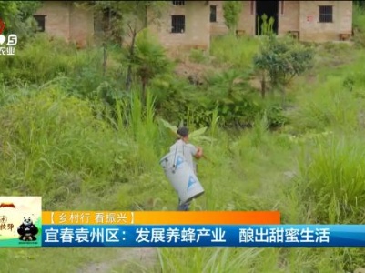 新闻晚高峰20231125