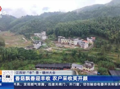 【江西好“丰”景】赣州大余：香菇飘香迎丰收 农户采收笑开颜
