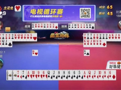 谁是赢家20231124