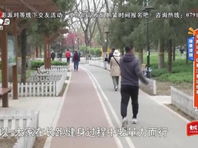 地宝当家20231120