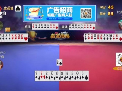 谁是赢家20231122
