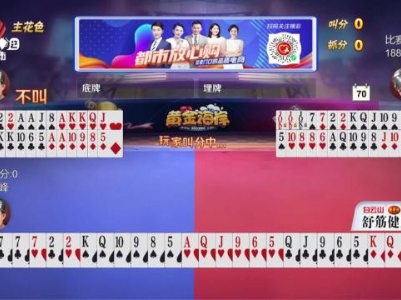 谁是赢家20231129