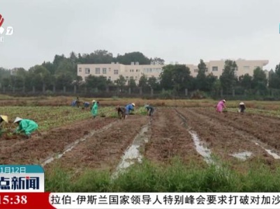连续降温降雨 各地积极应对保障农业生产