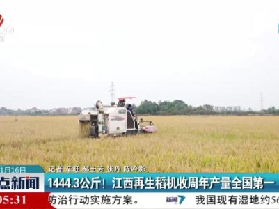 1444.3公斤！江西再生稻机收周年产量全国第一
