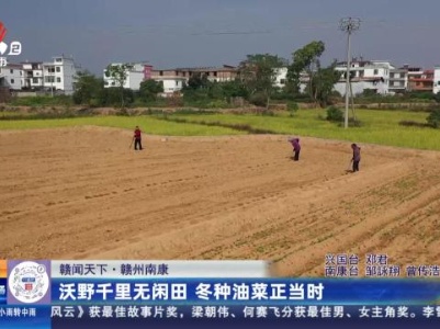 【赣闻天下】赣州南康：沃野千里无闲田 冬种油菜正当时