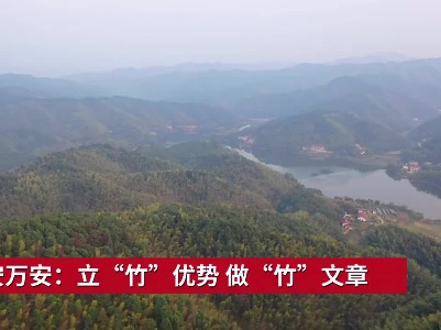 吉安万安：立“竹”优势 做“竹”文章