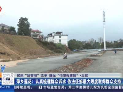 都市现场20231115