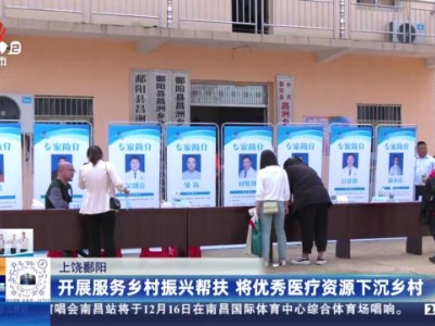 都市现场20231104