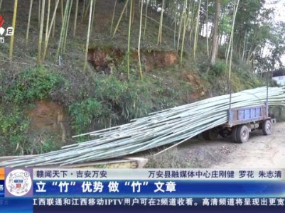 【赣闻天下】吉安万安：立“竹”优势 做“竹”文章