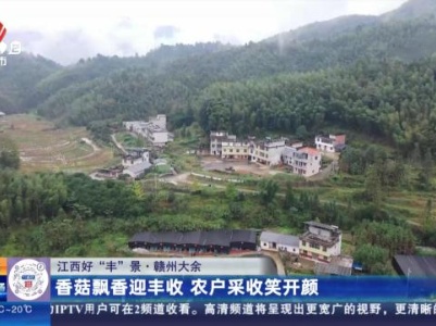 【江西好“丰”景】赣州大余：香菇飘香迎丰收 农户采收笑开颜