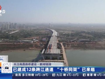 都市现场20231118