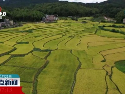 江西：改善田沟路网 促进粮食增产