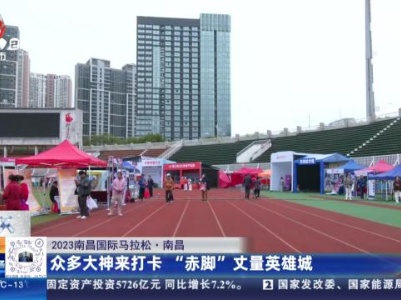 都市现场20231110