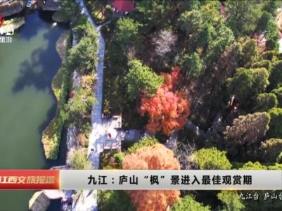 九江：庐山“枫”景进入最佳观赏期