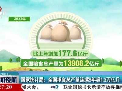 国家统计局：全国粮食总产量连续9年超1.3万亿斤
