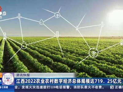 江西2022农业农村数字经济总体规模达719.25亿元