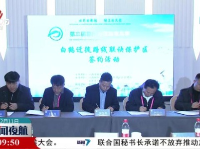 新闻夜航20231211
