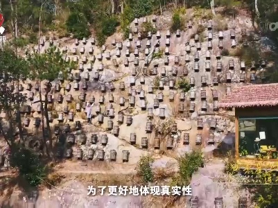 老表们的新生活·第三季20231229 悬崖上的追“蜂”人