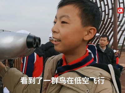 鄱阳湖观鸟已成当地学生“必修课”，赶紧带孩子走起！