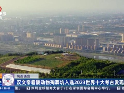 陕西西安：汉文帝霸陵动物殉葬坑入选2023世界十大考古发现