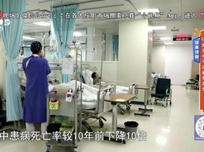 地宝当家20231202