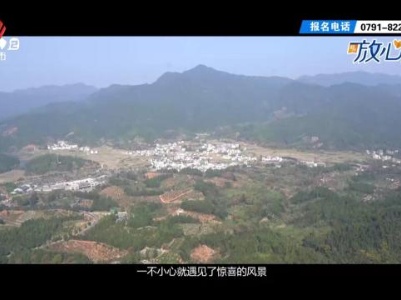 都市放心游20231203