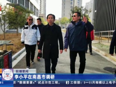 李小平在南昌市调研