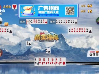 谁是赢家20231217