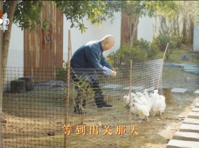 三农头条20231229