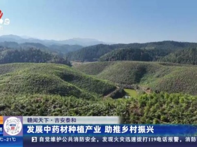 都市现场·午间版20231209