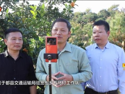 【乡村“店小二”】钟官华：第一书记带货忙 干起直播“新农活”