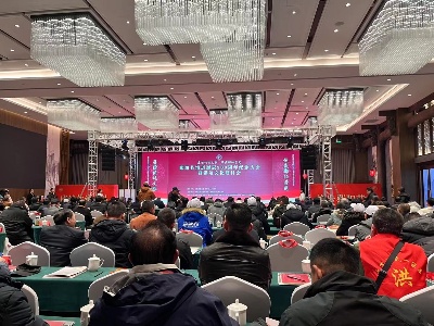 江西上饶：赓续传统文脉 焕发鄱阳荣光
