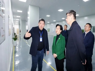 胡雪梅赴高新区调研重点项目建设