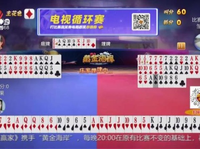 谁是赢家20231210