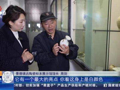 【家有收藏·馆长说收藏】古陶瓷标本展示馆：茶壶称为瓶 宋代“提篮货”又是怎么回事？