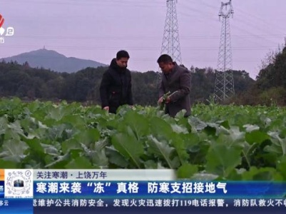 都市现场20231220