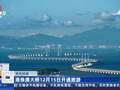 港珠澳大桥12月15日开通旅游