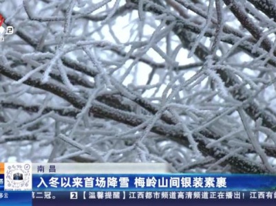 南昌：入冬以来首场降雪 梅岭山间银装素裹